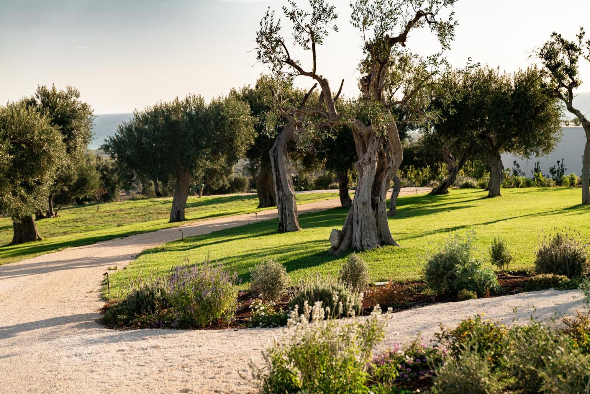 Masseria Auraterrae Polignano a Mare Bagian luar foto